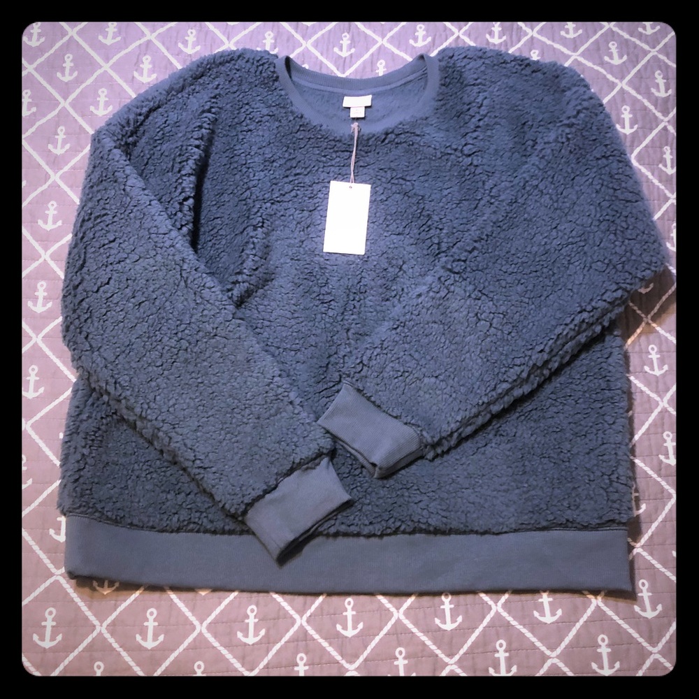 🎀 Teddy Bear Sweatshirt 🎀